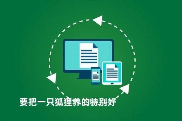要把一只狐狸养的特别好