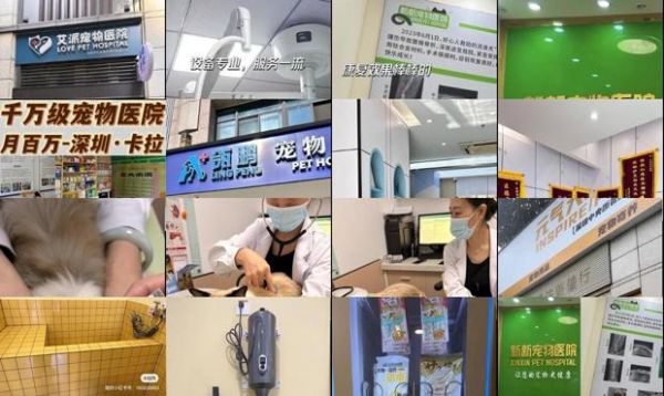 深圳宠物医院转让