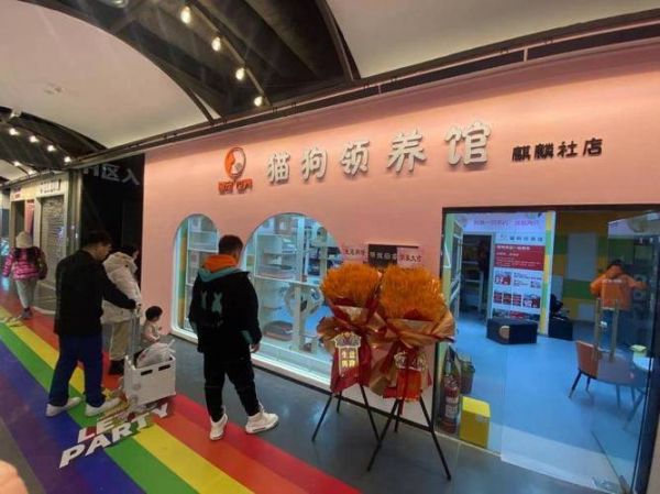 厦门同安宠物领养中心地址在哪里（同安宠物店哪家好）