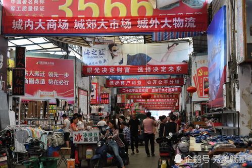 厦门宠物用品批发市场——宠物用品天堂