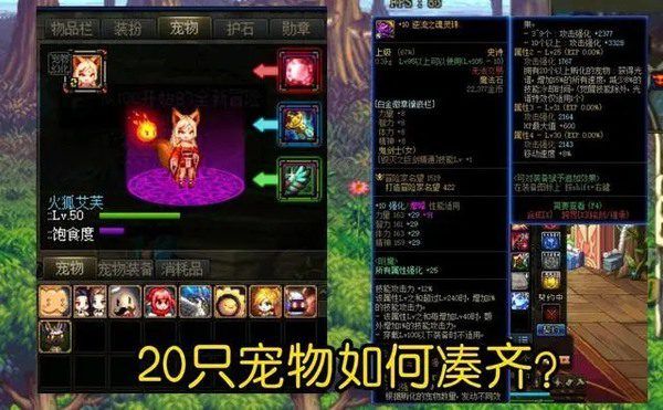 dnf宠物怎么快速获得 dnf快速获得(20个)宠物方法