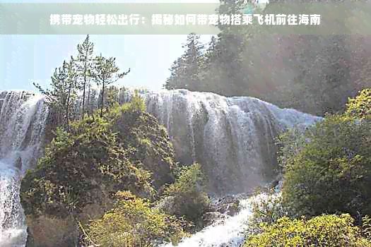 携带宠物轻松出行：揭秘如何带宠物搭乘飞机前往海南