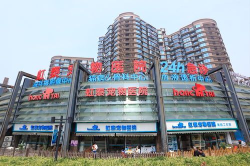 承德博爱宠物医院，专业呵护爱宠健康，您家的宠物去哪儿了？