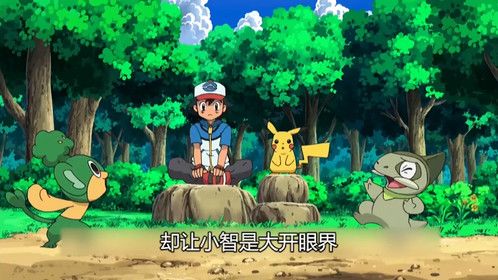 第9集｜精灵宝可梦第四季09   