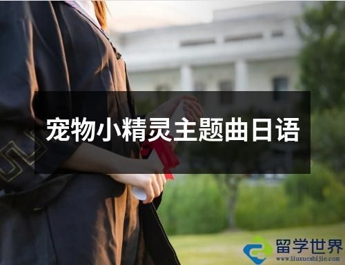 宠物小精灵主题曲日语