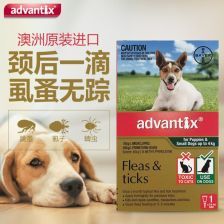 狗狗误舔驱虫药怎么办？ 家里喷了杀虫剂对狗狗有没有影响？