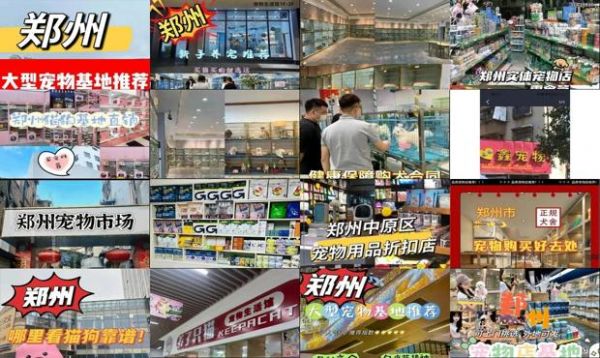 郑州宠物用品批发市场在哪里进货