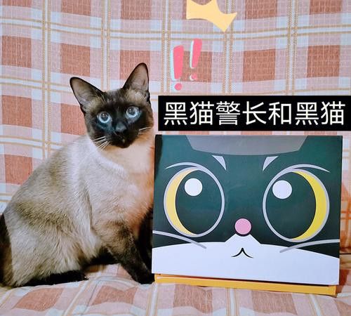 黑猪的说法 动物 第1张