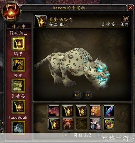 魔兽世界稀有宠物:魔兽世界：追寻稀有宠物的奇幻之旅