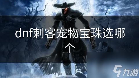 dnf刺客宠物宝珠选哪个