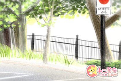 宠物名字大全