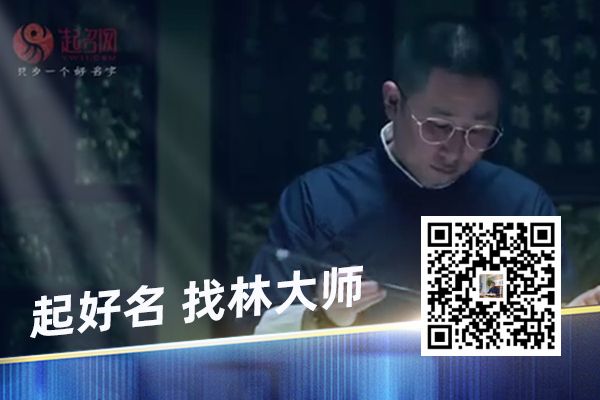 个性霸气宠物名字母狗