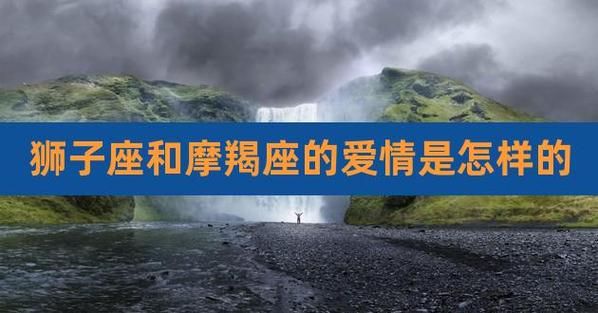 狮子座和摩羯座的爱情 摩羯座狗都不谈是什么意思