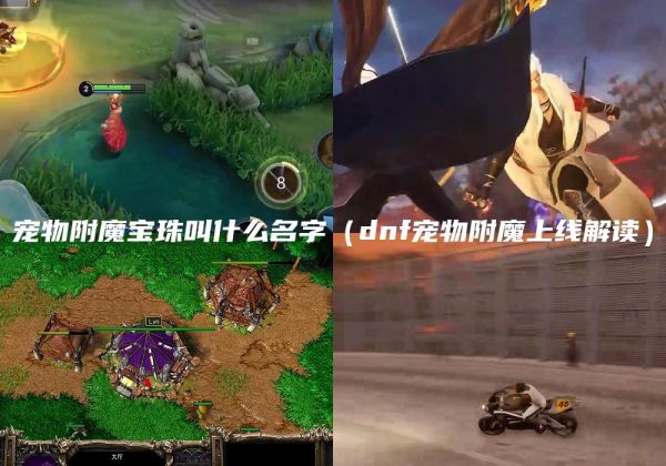 宠物附魔宝珠叫什么名字（dnf宠物附魔上线解读）