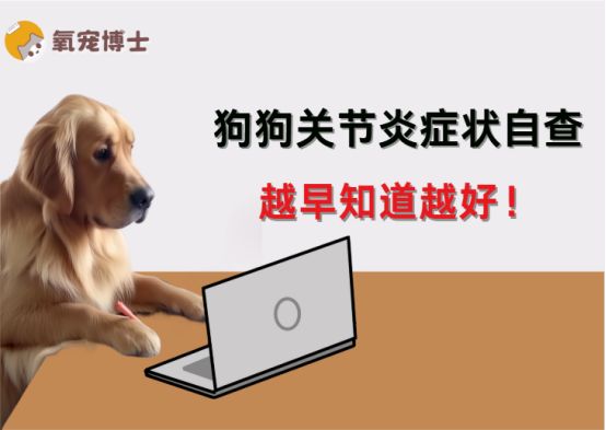 狗狗关节炎的9个典型症状