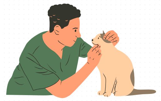 狗狗关节炎怎么治疗？