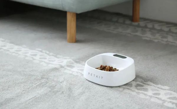 称重碗