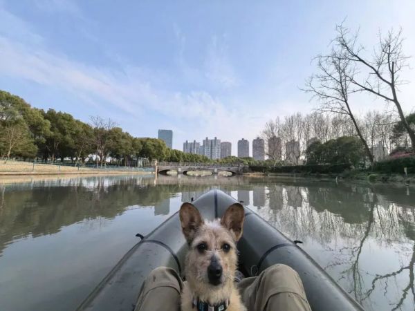 摩卡