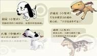 阿猫阿狗1怎么用: 阿猫阿狗1的使用方法详解