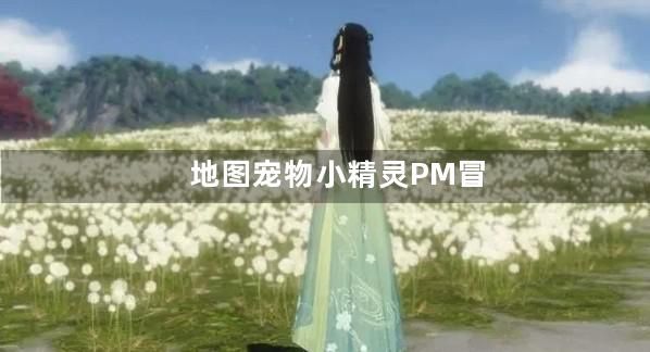 宠物小精灵PM冒险之旅