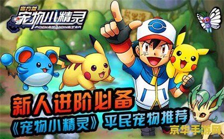 建议：宠物小精灵特别篇：精灵世界的冒险之旅