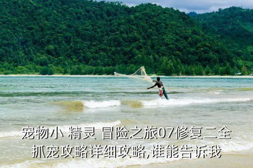 宠物小 精灵 冒险之旅07修复二全抓宠攻略详细攻略,谁能告诉我