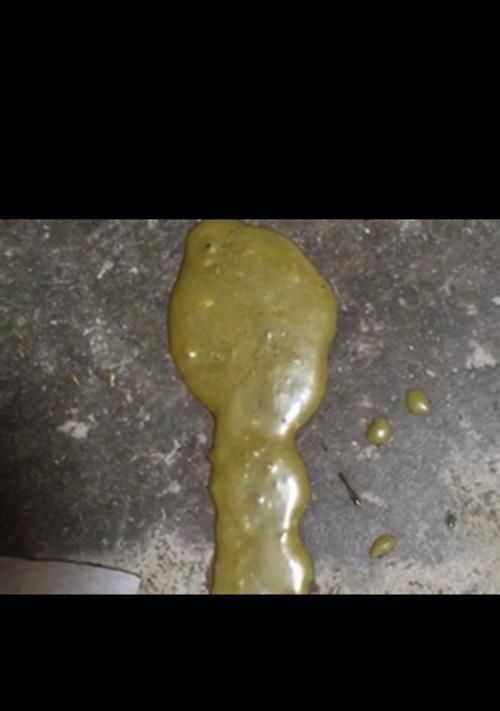 小狗拉黑色粑粑的原因及处理方法（了解小狗拉黑色粑粑的背后故事，让你更好地照顾它们）