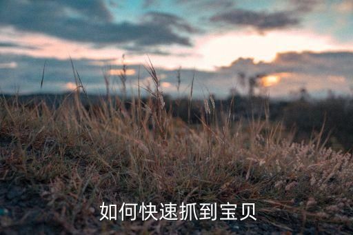  如何快速抓到宝贝