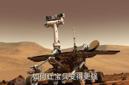 如何让宝贝变得更强