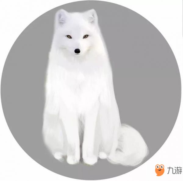 楚留香能养哪些种类的宠物 宠物都有哪些