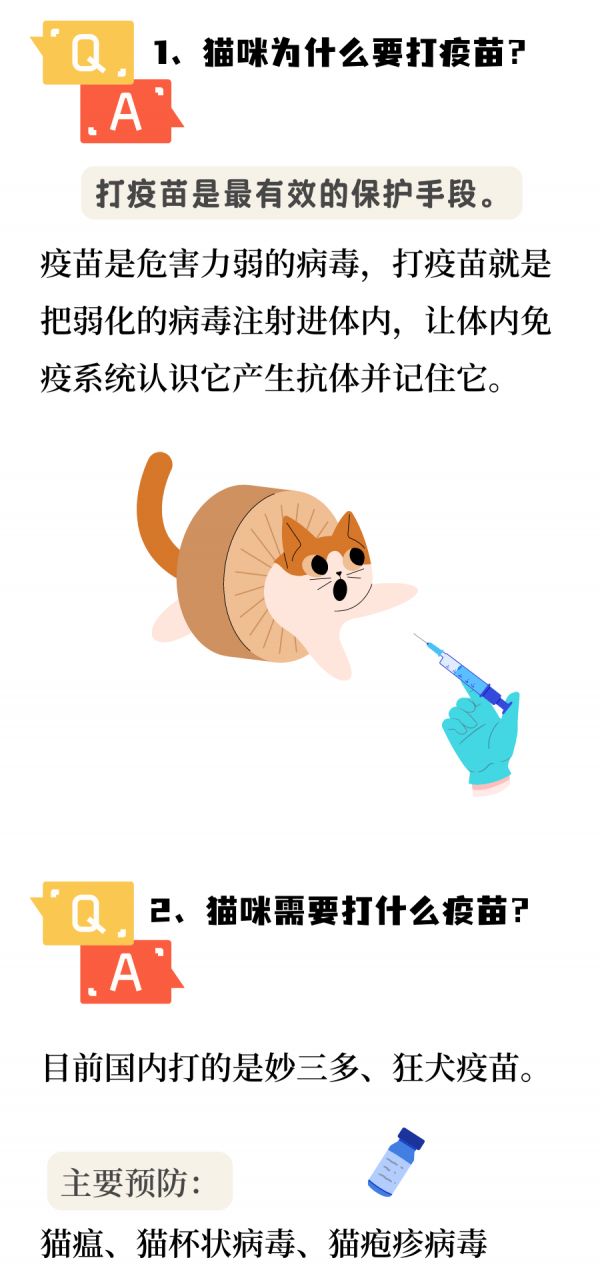 猫咪疫苗之快问快答~