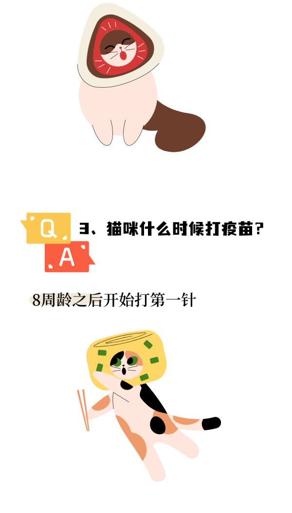 猫咪疫苗之快问快答~