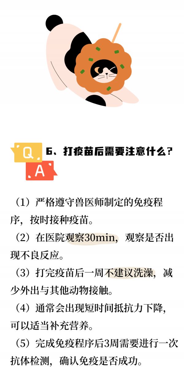 猫咪疫苗之快问快答~