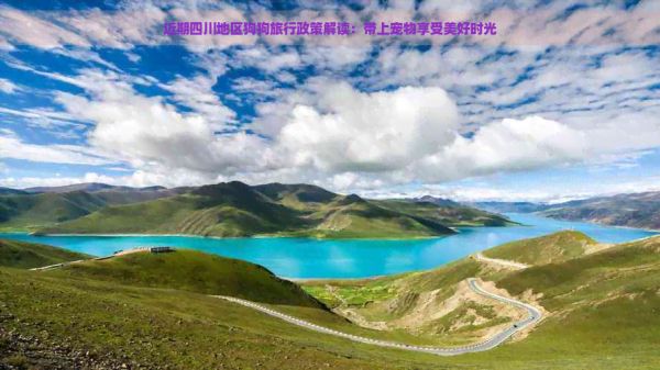 近期四川地区狗狗旅行政策解读：带上宠物享受美好时光