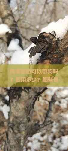 海南旅游可以带狗吗？费用多少？哪些景点允许宠物进入？