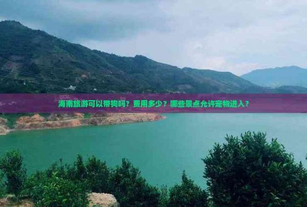 海南旅游可以带狗吗？费用多少？哪些景点允许宠物进入？