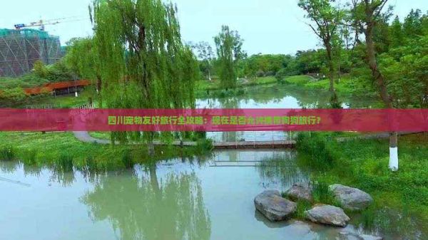 四川宠物友好旅行全攻略：现在是否允许携带狗狗旅行？