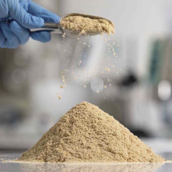 Microalgae is the answer to more sustainable pet food