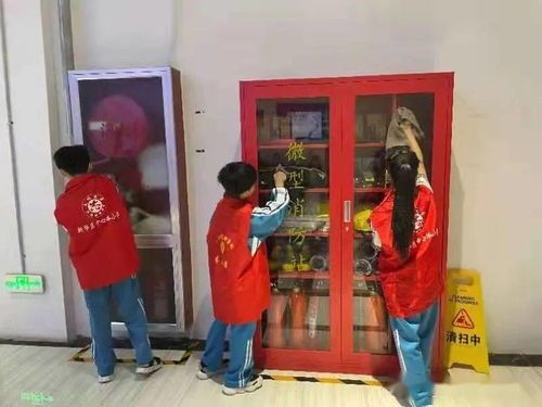 九江宠物交配,哪家机构技术领先?