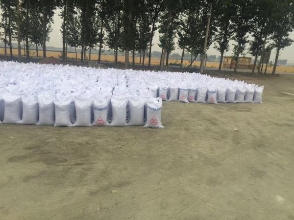 九江宠物防护施工当地