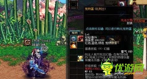 DNF特别宠物礼盒可以开出什么宠物