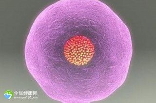 晋城助孕生宝宝的机构名单公布