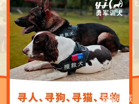勇军训犬寄养中芯·搜救犬 全国寻人寻宠（寻猫 寻狗）