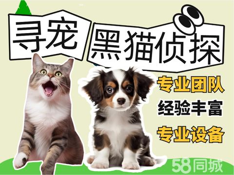 黑猫侦探寻宠·宠物寻找公司专业找猫找狗团队|寻猫团队寻宠机构宠物侦探找猫找狗宠物搜救