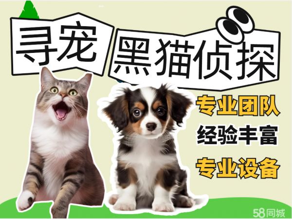 店主头像