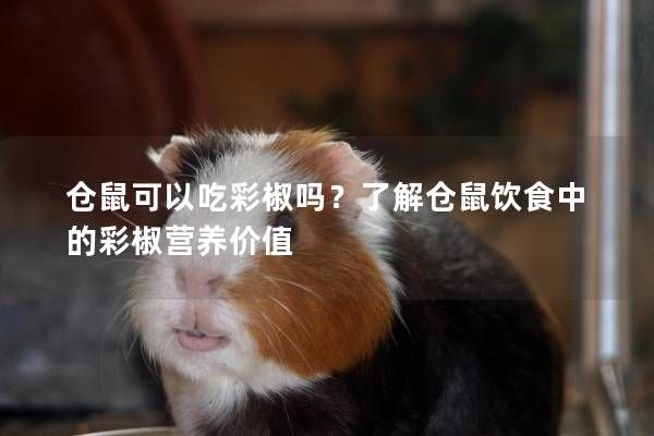 仓鼠可以吃彩椒吗？了解仓鼠饮食中的彩椒营养价值