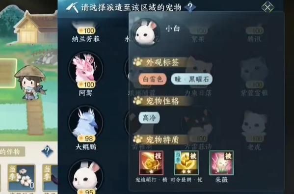 宠物特性选择