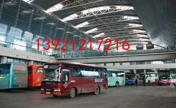 句容到开封直达汽车K1392120宠物托运