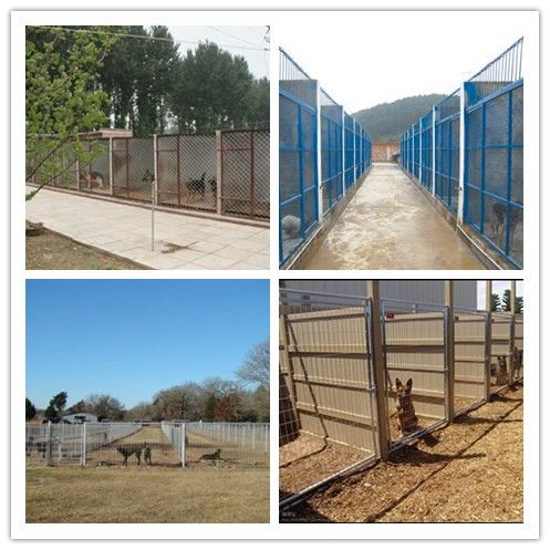 北京昌平养犬场电话/正规犬舍