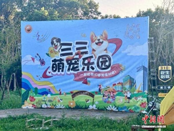 上海三三宠物公益服务中心。马颖 摄